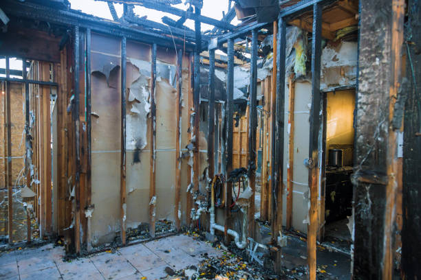 Professional Fire Damage Assessment technician working in Clifton Heights, PA